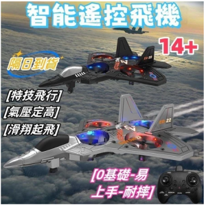 遙控特技飛機 遙控戰鬥機 遙控無人機 遙控滑翔機